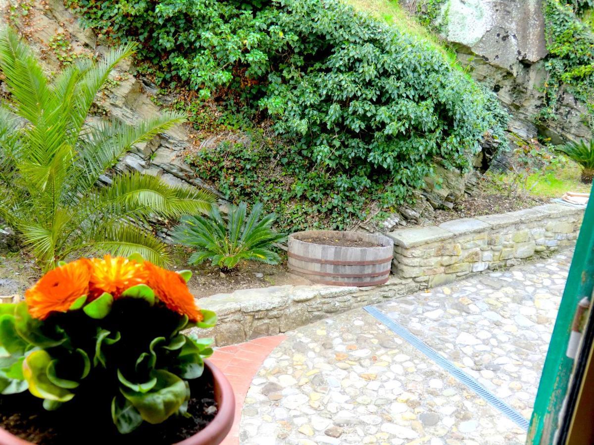 Ex-Mulino Pontevecchio Bed and Breakfast Pelago Εξωτερικό φωτογραφία
